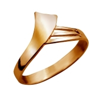 Gold ring Nr: 36