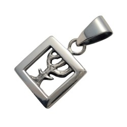 Sudraba kulons Nr: 284