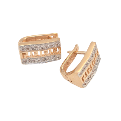 Zelta auskari Nr. 5045