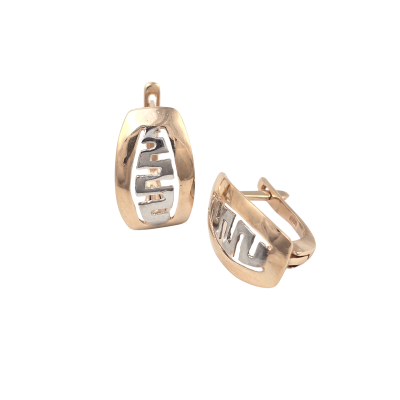 Zelta auskari Nr. 5184