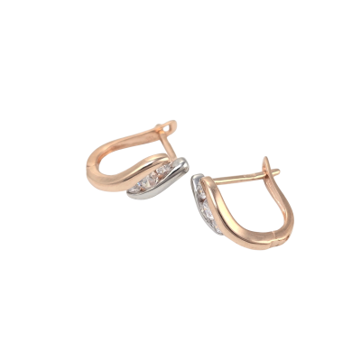 Zelta auskari Nr. 5370