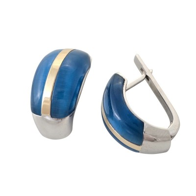 Silver earring Nr. SZ/250