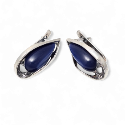 Sudraba auskari Nr: 25