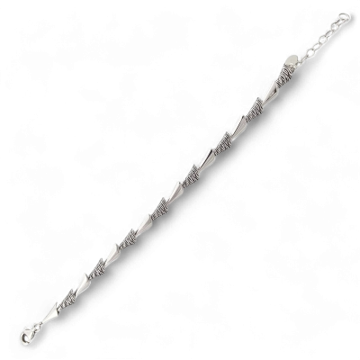 Sudraba aproce Nr. 311