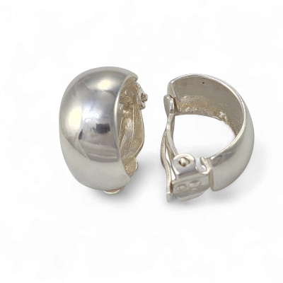 Silver earrings No. 1248