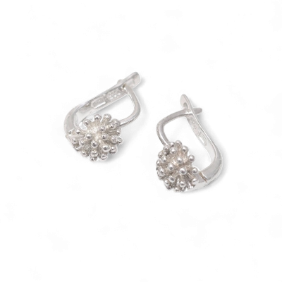 Silver earrings No. 1253