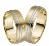 Золотое кольцо Nr. 1-50839/060