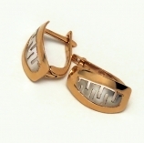 Gold earring Nr. 5184